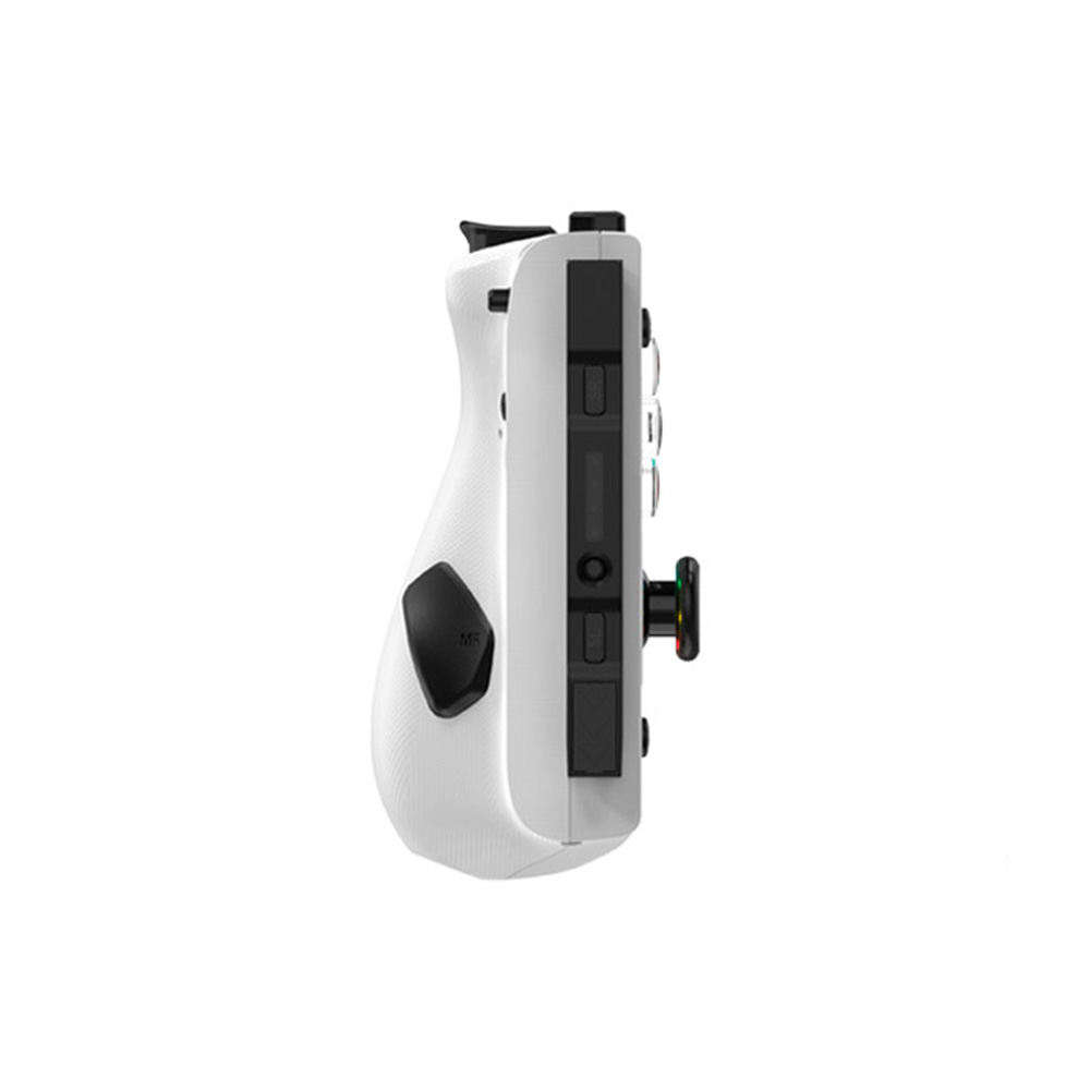 Omelet Nintendo Switch 專用 Pro+ Joy-Pad 無線控制器(貓熊白)