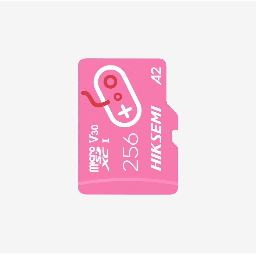 HIKSEMI CityFun G2 256G microSD 記憶卡(256GB)