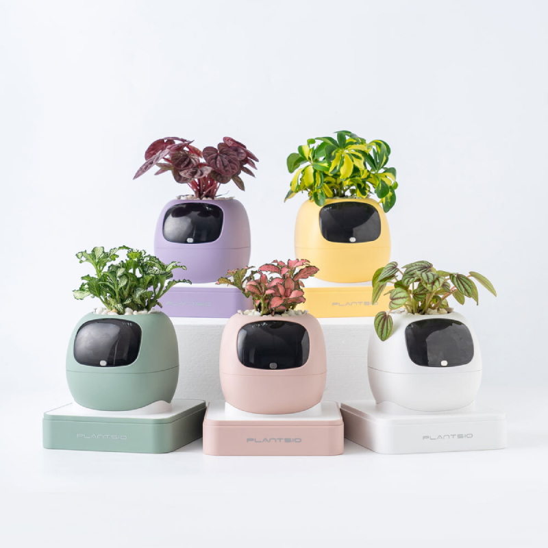 PlantsIO IVY Gen2 智能植物培植寵物(紫色)